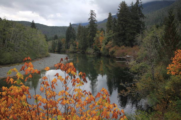 istock Scenic view of mountain stream, autumn 2165734127