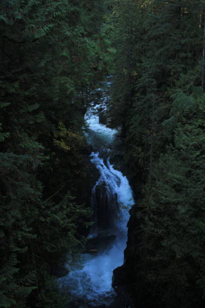 istock Scenic view of mountain stream 2165734379