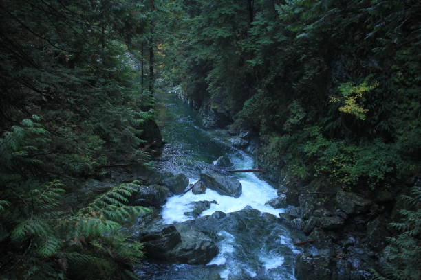 istock Scenic view of mountain stream 2165734433