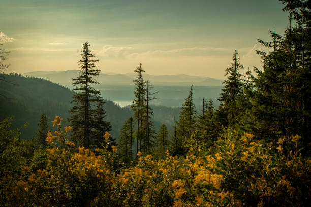 istock Landscape Coeur d’ Alene National Forrest 2165734979