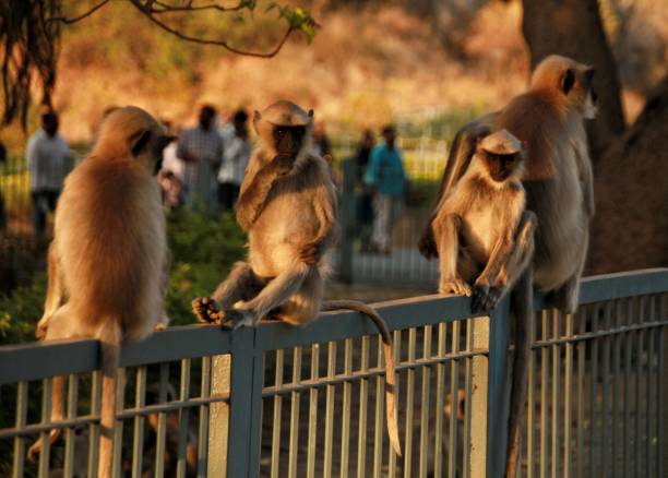 Scenic views of Ellora, India