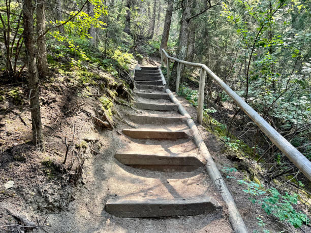 istock Wooden Staircase on Forest Trail 2165738332