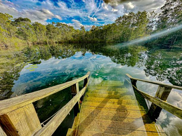 istock Platform overlooking the teal spring waters in early spring, Eagle's Nest, Chassahowitzka Wildlife Management Area, Florida 2165740020