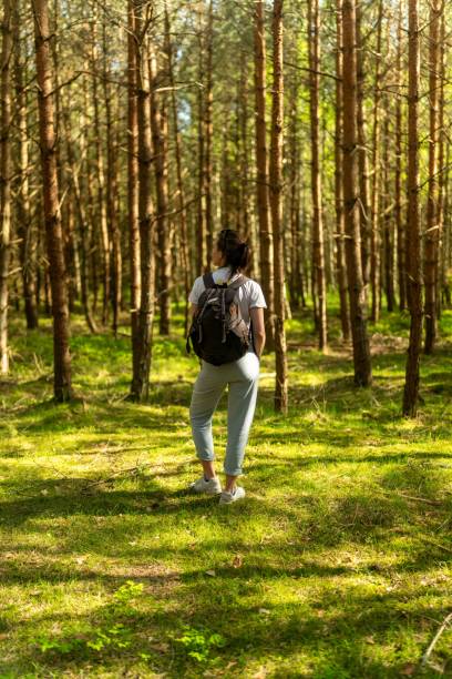 istock Woman with a backpack hiking through a sunlit forest with tall trees in Poland 2165740040