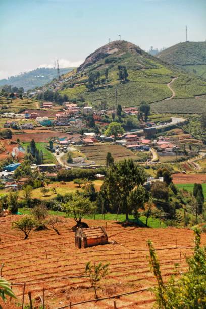 Scenic views of Ooty, India