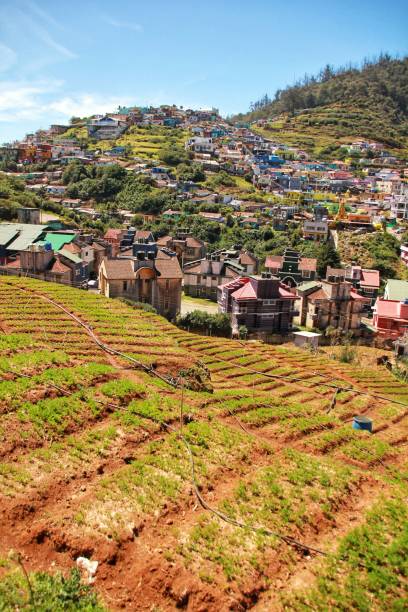 Scenic views of Ooty, India