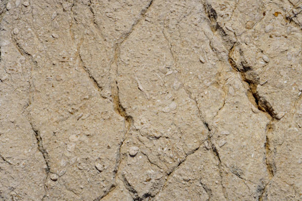 istock Background texture of white stone. 2165752403
