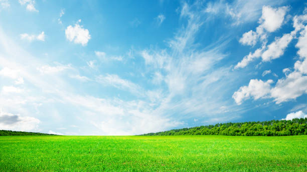istock Summer landscape with green field and sky 2165754726