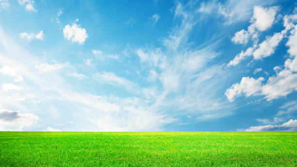 istock Summer landscape with green field and sky 2165754753