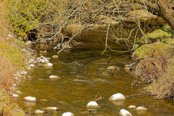 Natural scene from Wisconsin
