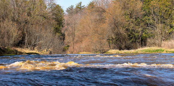 Smaller cascade on the river flowing through the forest