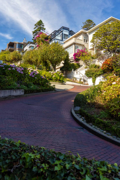 istock Lombard Street in San Francisco 2165756655