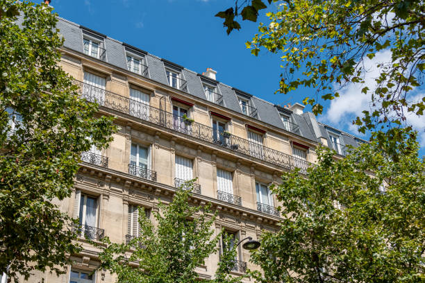 istock Facades of residential buildings in classic Haussmannien style built along a tree-lined avenue, Paris, France 2165760708