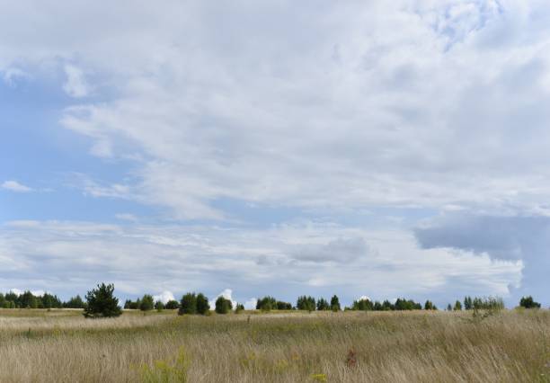 Cloudy sky over a spacious meadow on a summer day.
