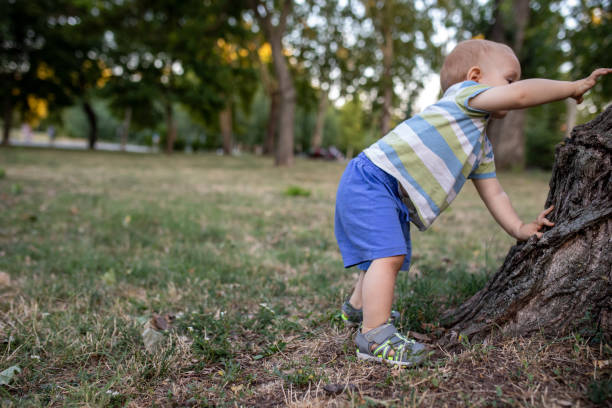 Child on playground. Active kid exercising in school yard. Children play and climb. Little boy on monkey bars. Kids having fun on sunny summer day in beautiful park.