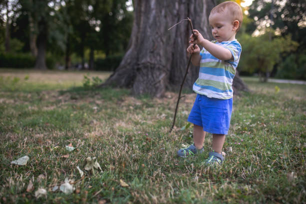 Cute little boy is playing in the public park. He is wearing shorts and T-shirt and he is holding a stick of wood. Wonderful sunny day and amazing nature for children's adventures. Curiosity and exploration through play.