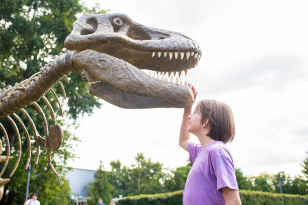 istock boy next to toy dinosaur skeleton in park 2165772935