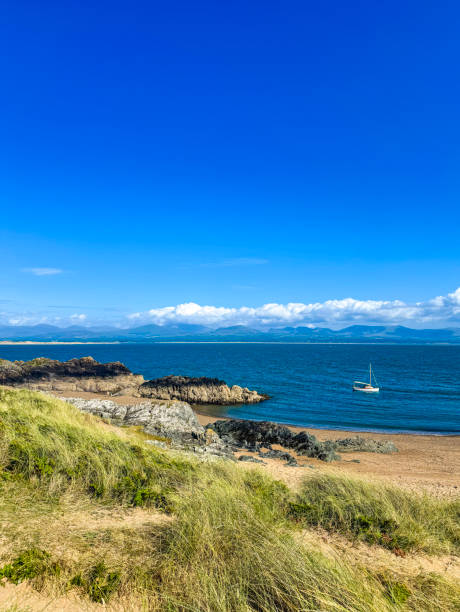 istock Cliffside Oasis, golden sand beach and blue water 2165776327