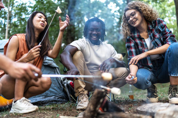 istock Young friends enjoying in camping trip while roasting marshmallows 2165778273