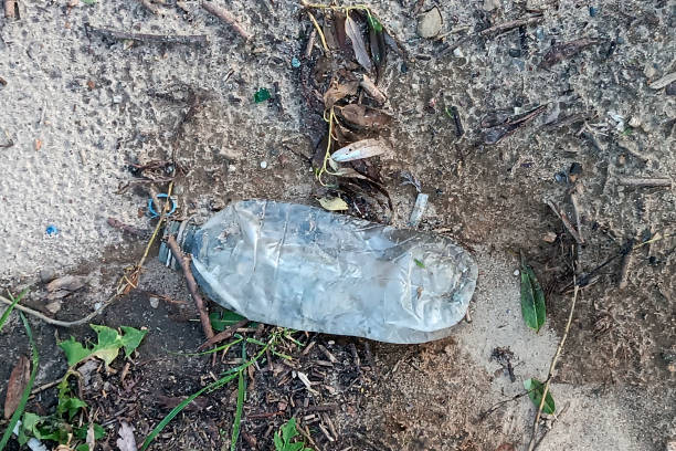 istock Garbage. Crumpled plastic bottle is lying on ground. Environmental pollution, Harm to nature. Dirty Empty water bottle. Environmentally responsible behavior. Used plastic bottle. Motivational Photo 2165780182