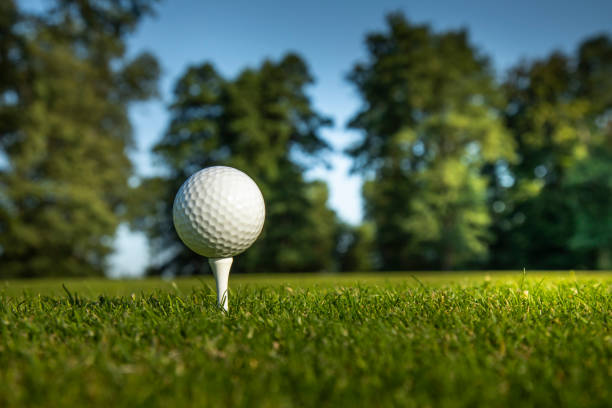 istock Golf ball in a club in the forest 2165784340