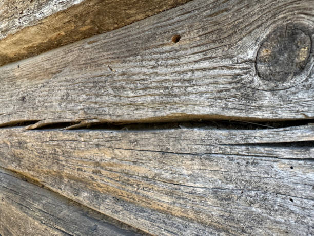 istock Old log wall. The logs are cracked and eaten by bugs. 2165796211