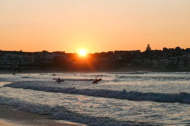 Bondi Beach Dawn Surfers The rising sun first appears over the horizon of Ben Buckler headland as surfers head out to catch a wave. This image was taken on a cold and sunny morning at sunrise on 8 August 2024. bondi beach sunrise stock pictures, royalty-free photos & images