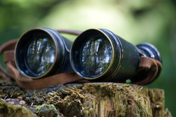 istock Vintage binoculars resting on mossy tree stump in forest setting 2165803537