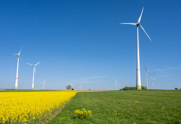 istock Green and yellow fields with wind turbines 2165808259
