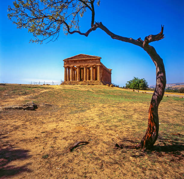 Temple of Concordia in Agrigento, Sicily