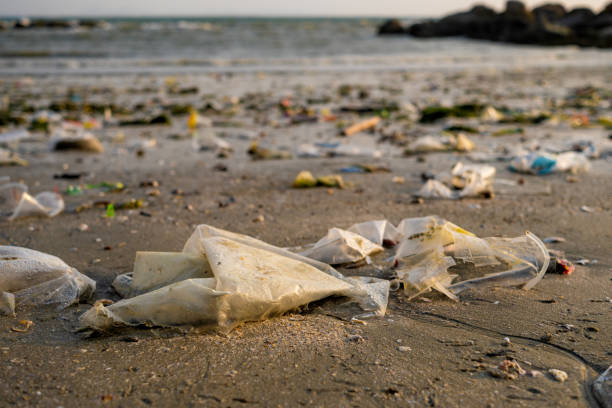 istock trash, plastic cups and plastic bags at the beach. environmental problem concept and healing the world 2165815631