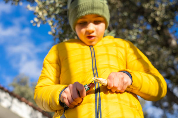istock Child peeling a stick in nature with a razor on a winter day with copy space 2165818308