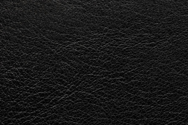 istock Genuine animal skin, background or texture. 2165818752