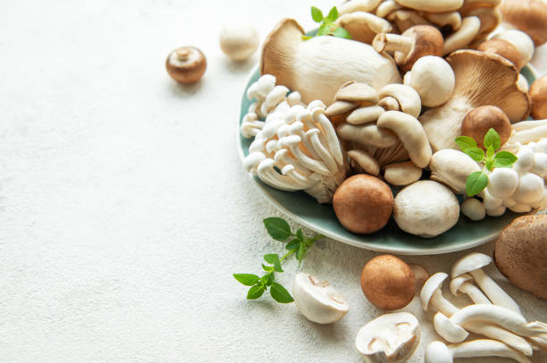 istock Assortment of various raw mushrooms on gray concrete background 2165820536