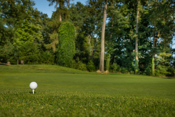 istock Golf ball in a club in the forest 2165821706