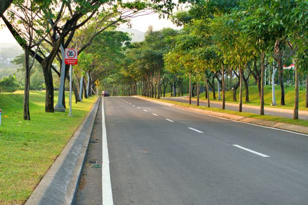 istock Beautiful road covered with big branches trees 2165825649