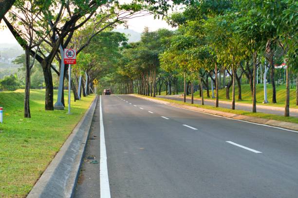 istock Beautiful road covered with big branches trees 2165826228