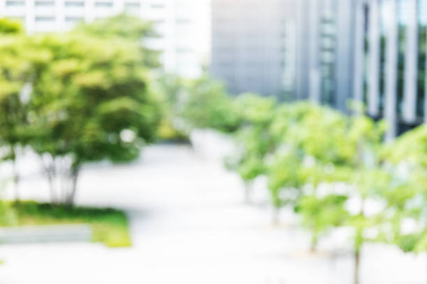 istock Blurred city in background 2165827625