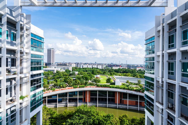Thammasat University Rooftop Farm, Rangsit