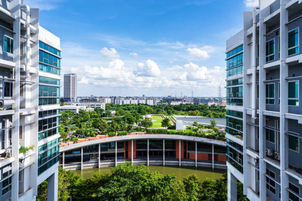 istock Thammasat University Rooftop Farm, Rangsit 2165827750