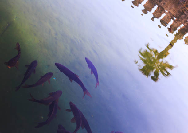 the city of Granada from another perspective, reflection in the water