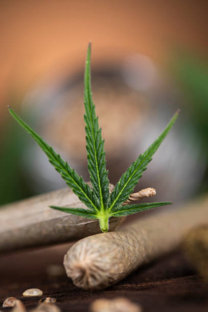 istock Blunt, Cbd,  Marijuana bud with cannabis 2165830377