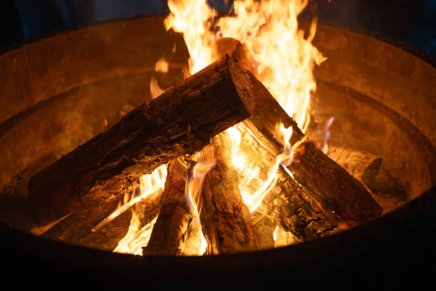 istock Blazing wood fire burning in a fire pit 2165830841