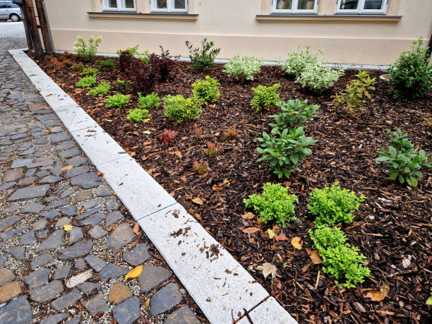 istock backyard garden with paving surface. hydrangeas and other shrubs in a free-scattering English-style mulched bed planted. 2165833388