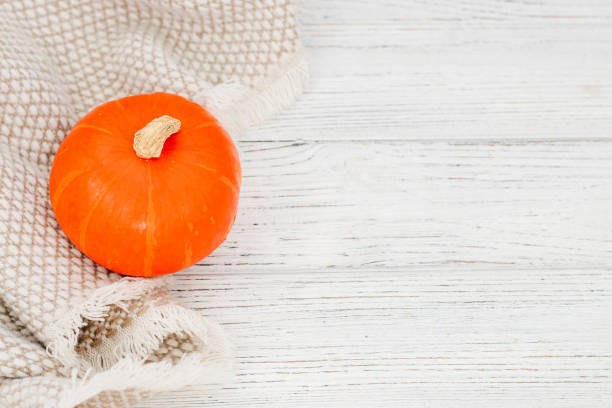 Fresh nice pumpkin. Isolated on a white background.