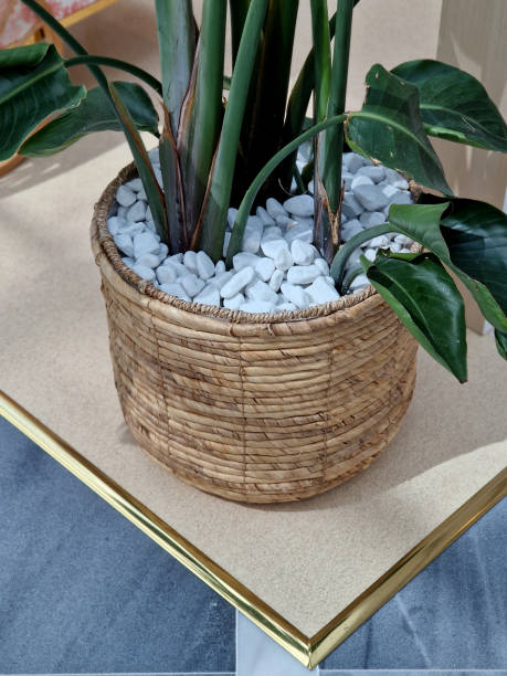 istock a wicker table and a flower pot with arrowroot. gold frame edges. on this table restaurants put their menus with menus for guests in front of the entrance. luxury furniture with bamboo 2165835046
