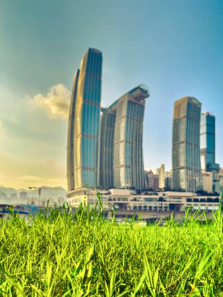 istock Raffles City Chongqing Viewed Through Green Grass 2165836010
