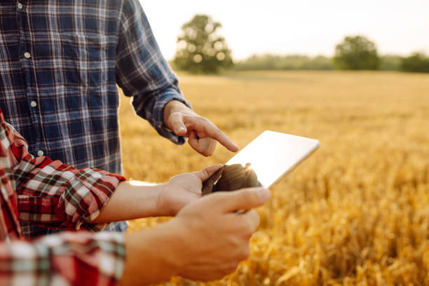 istock Smart farming. Agricultural technology and organic agriculture. 2165841684