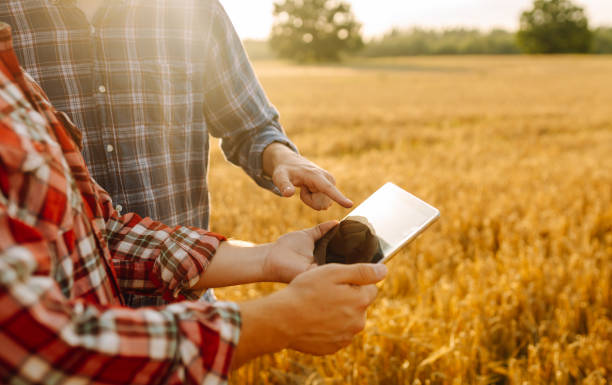Smart farming. Agricultural technology and organic agriculture.
