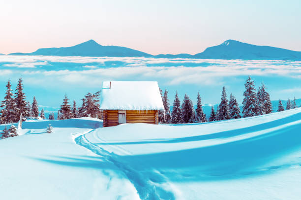 A picturesque snow-covered trail winds through a tranquil alpine valley, bordered by tall evergreens and open meadows. The low winter sun casts a warm glow, creating long shadows and a serene atmosphere under a dynamic sky filled with soft clouds and sunlight streaks.